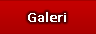 Galeri